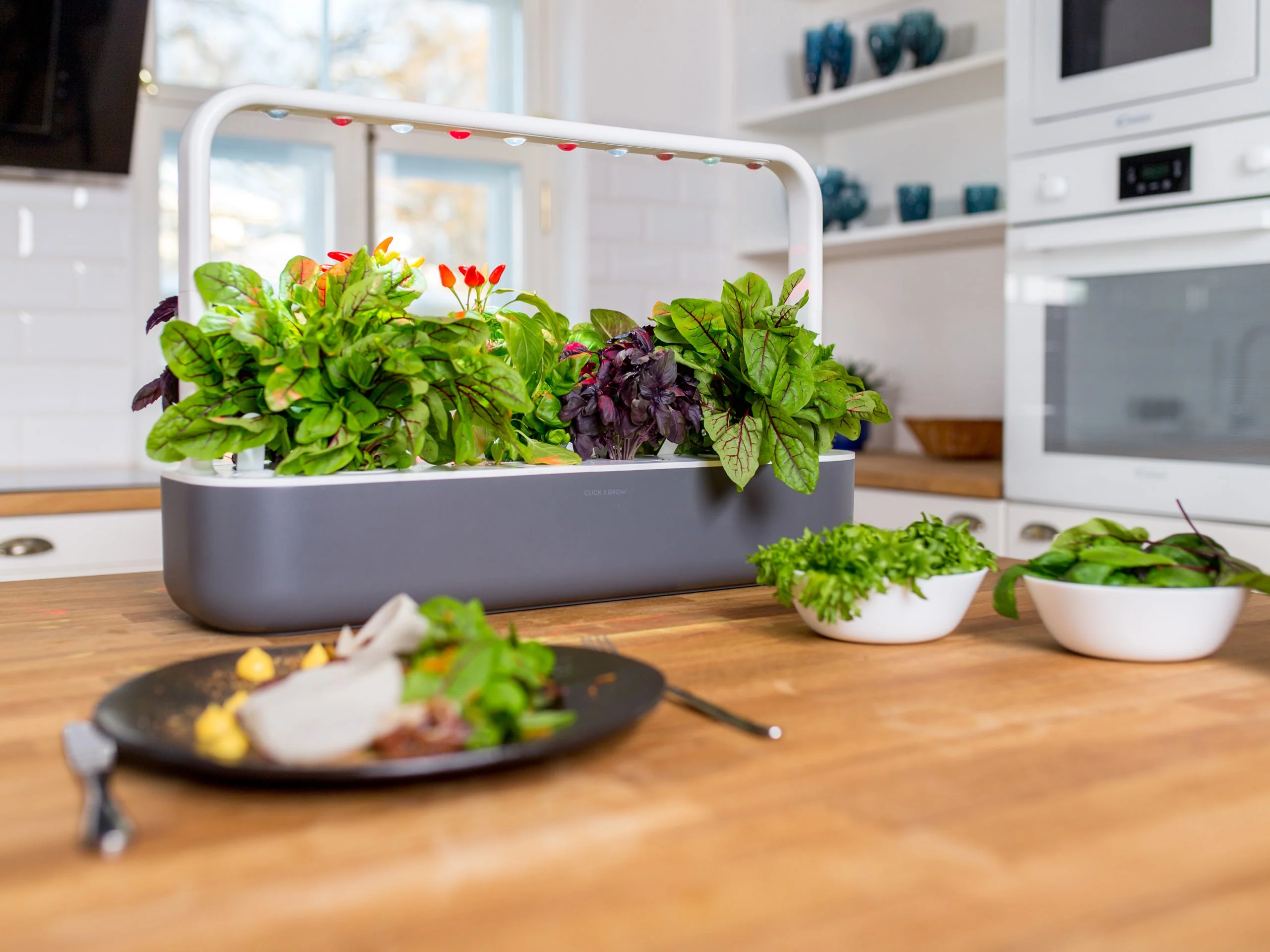 Fresh herbs growing in a Click and Grow indoor garden